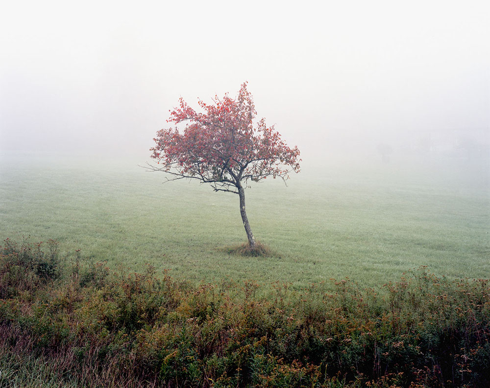 Jason Koxvold Untitled (18T VM 9409 2644), 2009. ©Jason Koxvold.