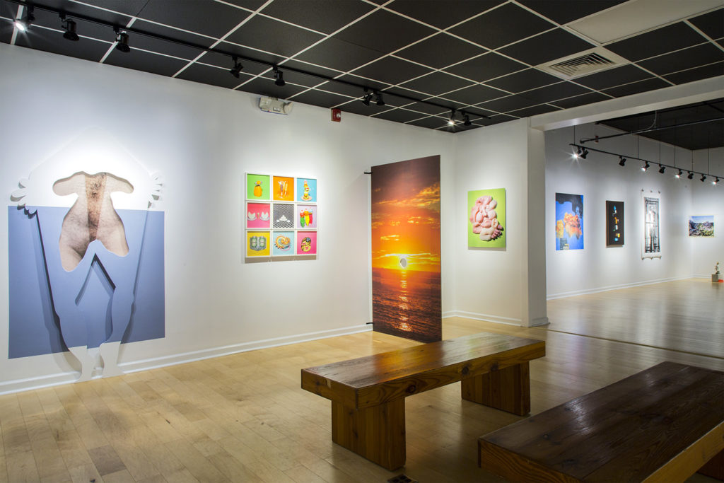 Installation view of n e w f l e s h at The Light Factory, August 29 – October 11, 2019. © Eric Pickersgill Installation view of n e w f l e s h at The Light Factory, August 29 – October 11, 2019. © Eric Pickersgill