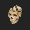 Primitive Perceptions, 2017. © David Ellingsen.