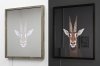Next of Kin Portrait: Sable Antelope, Hippotragus niger - Vulnerable  (kinetic mirrored light box) diptych (in daylight and at night with no ambient light), 2017. © Christina Seely.